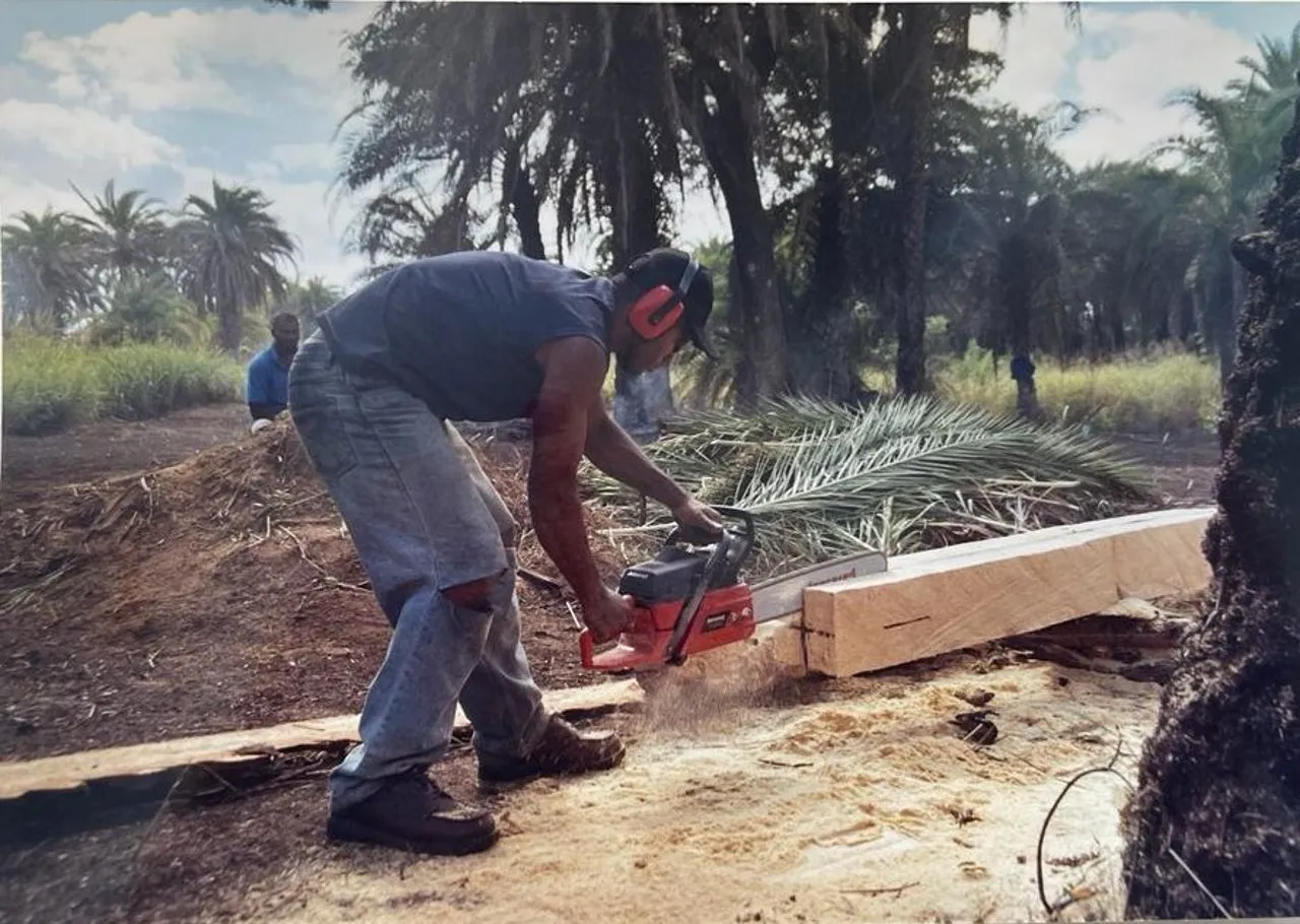 Cakacaka kau vakavanua e Viti